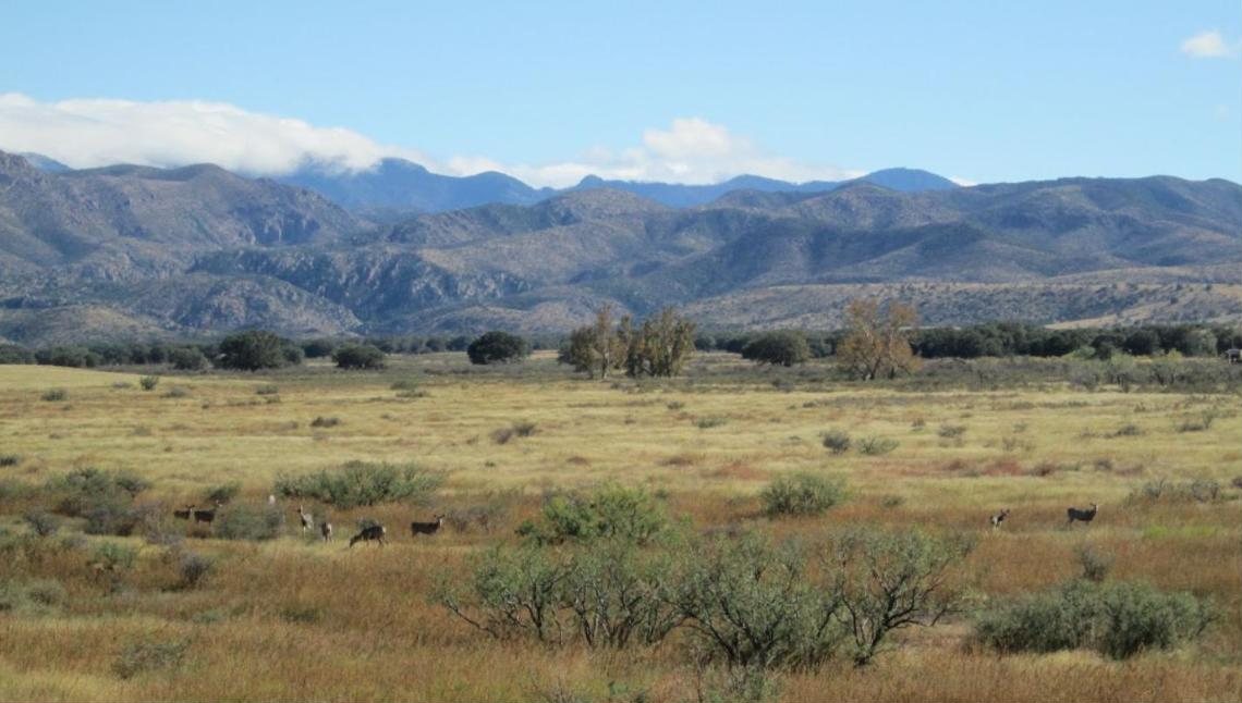 Grassland and mountains in central Arizona